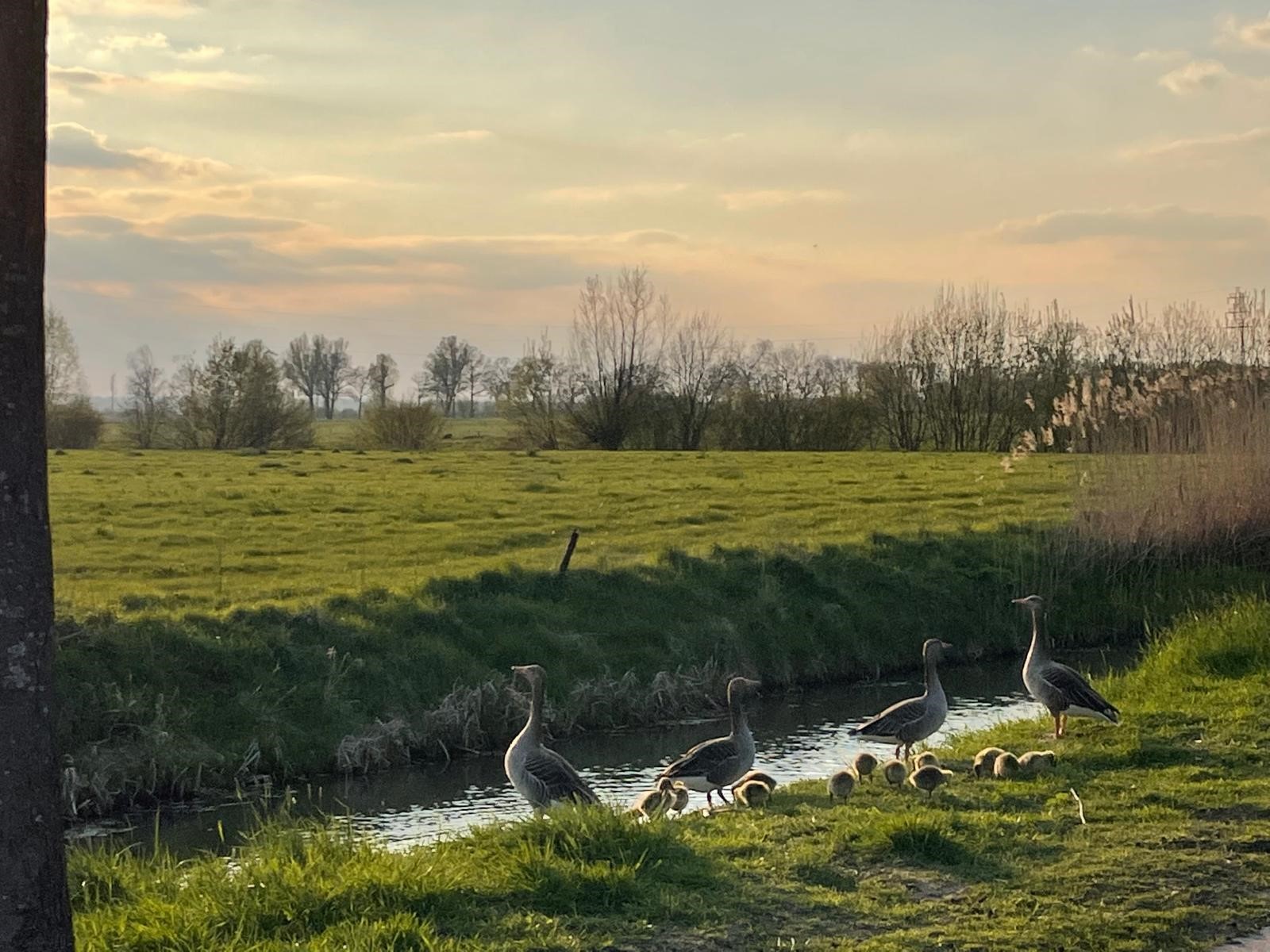 Pilot: Binnenveld van Wageningen - Gemeente Wageningen